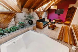 Suite Jonde - 1