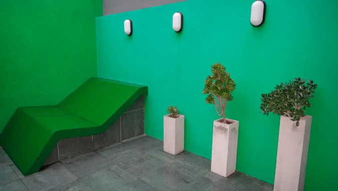 Nature - 5